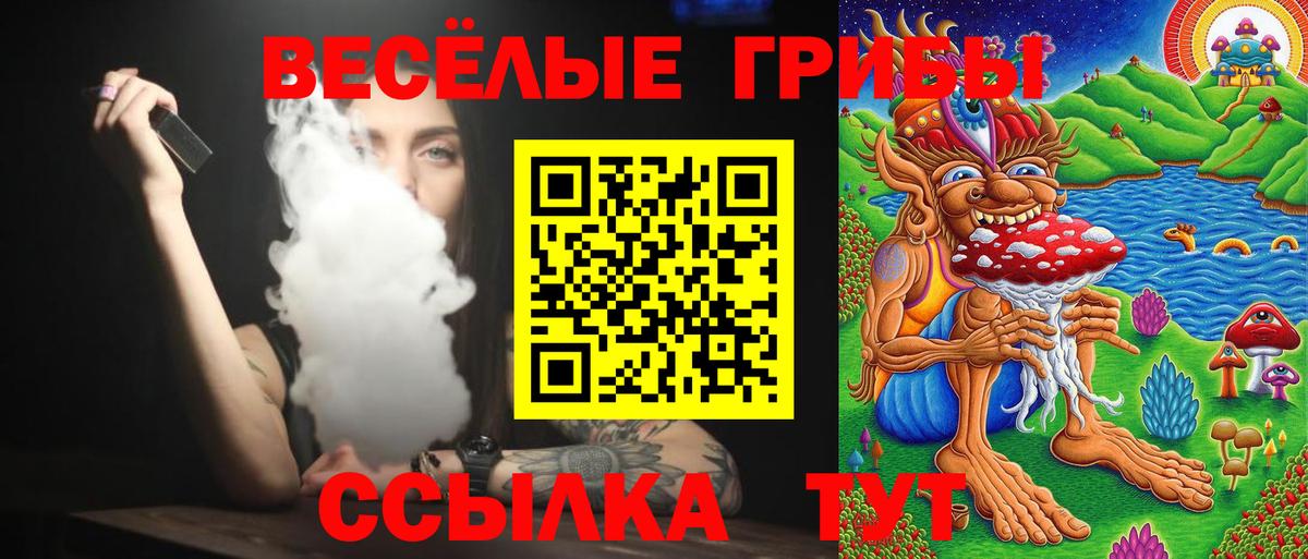 Унеча  Галлюциногенные грибы мухоморы  дарнет шоп  Псилоцибиновые грибы Psilocybine cubensis  Вход с VPN 