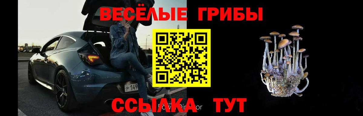 Псилоцибиновые грибы ЛСД Унеча